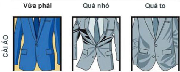 Vest như thế nào thì đạt chuẩn?