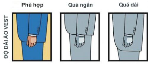 Vest như thế nào thì đạt chuẩn?